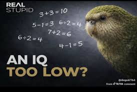 an iq too low?